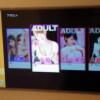 HOTEL Plaisir Akihabara(ホテルプレジール秋葉原)(千代田区/ラブホテル)の写真『302号室　テレビのVOD』by マーケンワン