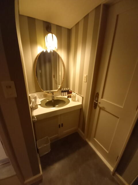 シャトン(新宿区/ラブホテル)の写真『304号室 洗面台②』by angler
