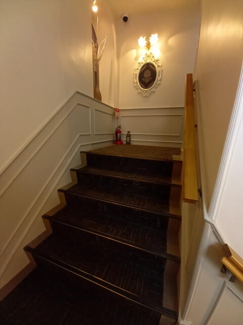 シャトン(新宿区/ラブホテル)の写真『三階に上がる階段。エレベーターはありません。』by angler