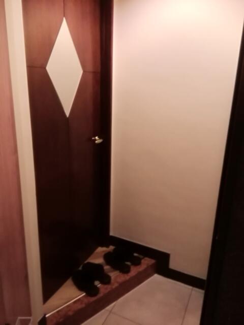 サナ・リゾート(葛飾区/ラブホテル)の写真『205号室、玄関です。(22,4)』by キジ