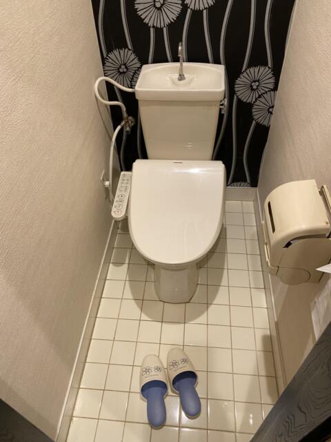 HOTEL R&N（レストアンドネスト）(蕨市/ラブホテル)の写真『302号室(トイレ)』by こねほ
