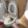 レンタルルーム バラ(荒川区/ラブホテル)の写真『共同トイレ – 普通にきれいでした。』by _Yama