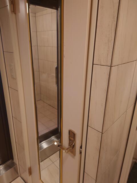 ホテルSAVOY(台東区/ラブホテル)の写真『502号室トイレのドア（鏡が付いている）』by そこそこの人生