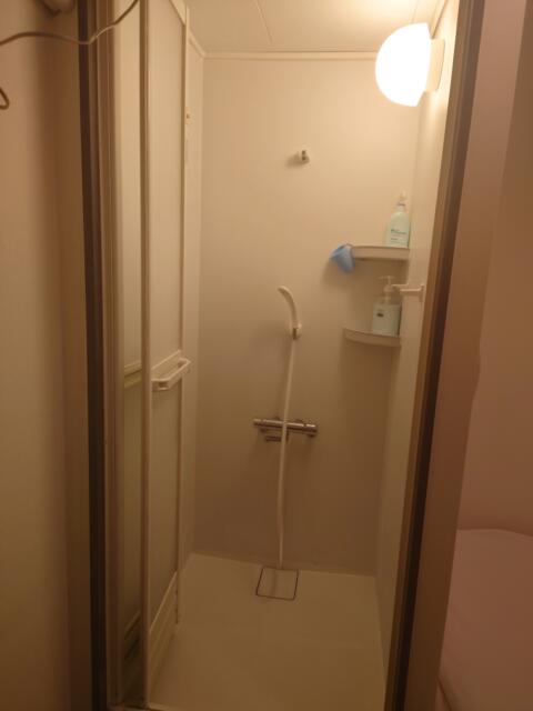 レンタルルーム オーロラ(荒川区/ラブホテル)の写真『202号室シャワールーム』by そこそこの人生