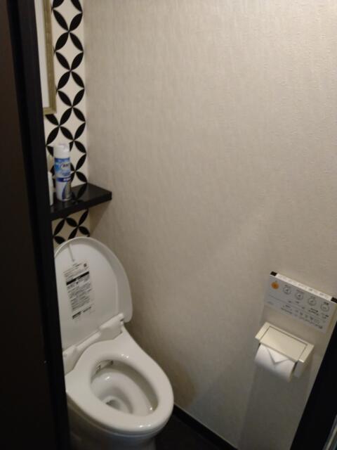 HOTEL ALL-INN G（オールインジー）(豊島区/ラブホテル)の写真『304号室 トイレ』by なめろう