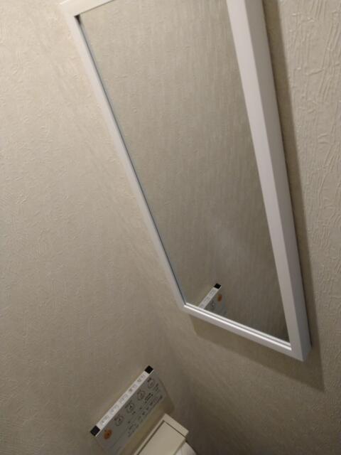HOTEL ALL-INN G（オールインジー）(豊島区/ラブホテル)の写真『304号室 トイレ、便座に座って正面の壁に鏡あり』by なめろう