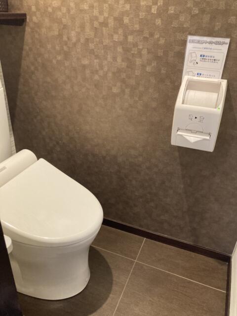 ホテル M by 南の風風力3(沼津市/ラブホテル)の写真『306号室トイレ』by 一刀流