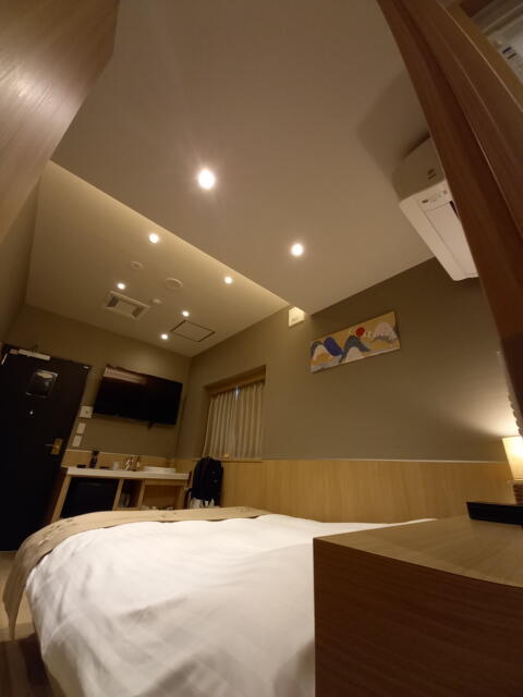 ホテル 小山 (KOYAMA）(新宿区/ラブホテル)の写真『101号室の天井照明』by angler