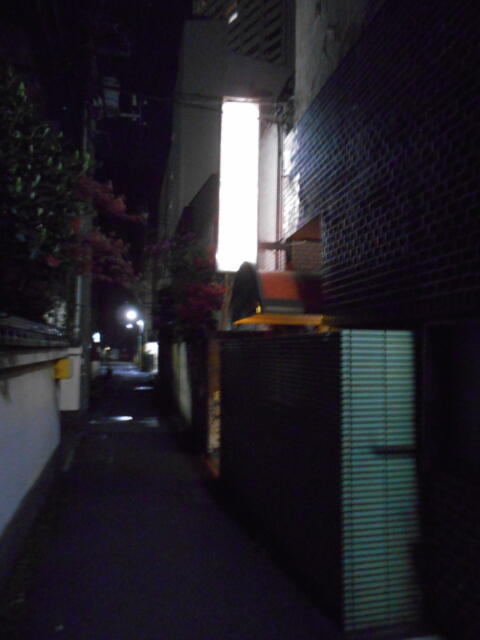 オリオン(立川市/ラブホテル)の写真『裏口がある路地はこんな感じなので入りやすいです。』by もんが～