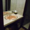 キャメルイン ウエスト(立川市/ラブホテル)の写真『227号室、洗面所』by もんが～