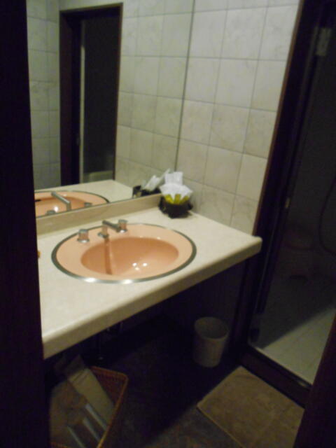 キャメルイン ウエスト(立川市/ラブホテル)の写真『227号室、洗面所』by もんが～
