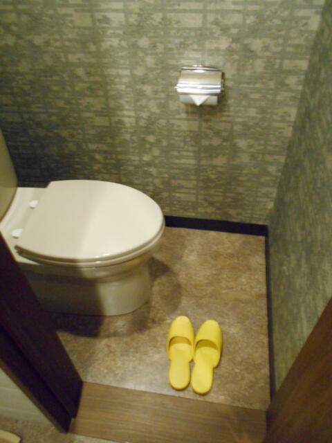 キャメルイン ウエスト(立川市/ラブホテル)の写真『227号室、トイレ』by もんが～