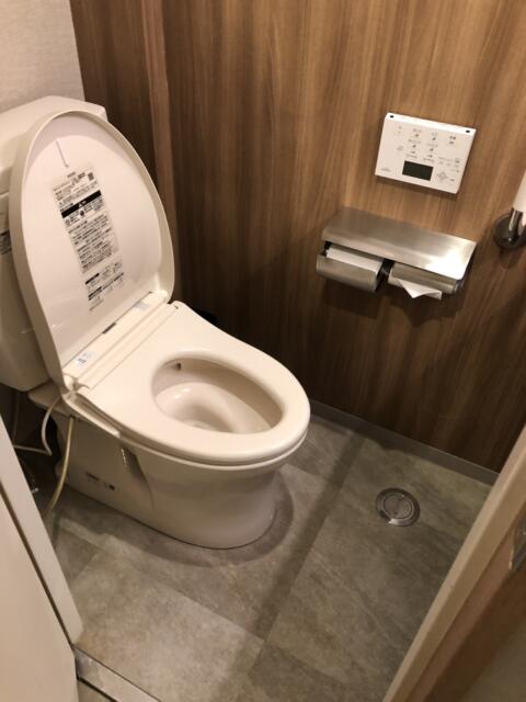 ホテル大山(新宿区/ラブホテル)の写真『207号室　トイレ　ウォシュレットもついて洗面台もありました』by キャッツ109