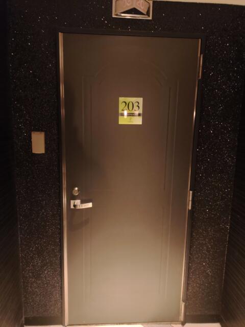 ホテル ルナパーク(名古屋市中区/ラブホテル)の写真『203号室　入口扉』by エロスギ紳士