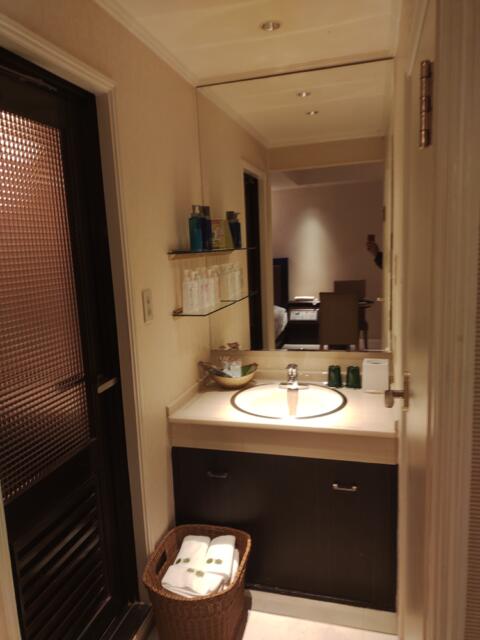 ホテル ルナパーク(名古屋市中区/ラブホテル)の写真『203号室　洗面所』by エロスギ紳士