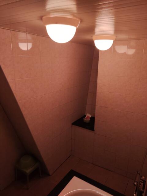 ホテル ルナパーク(名古屋市中区/ラブホテル)の写真『203号室　バスルーム４』by エロスギ紳士