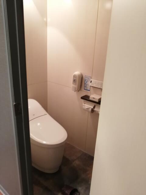 ラピア(新宿区/ラブホテル)の写真『306トイレ』by 3月9日