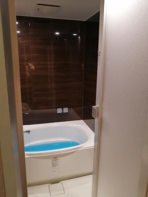 ラピア(新宿区/ラブホテル)の写真『306浴室』by 3月9日