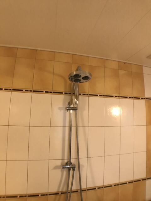 HOTEL Dior7(ディオールセブン)(浜松市/ラブホテル)の写真『401号室　真上からでるシャワー(内風呂)』by ま〜も〜る〜