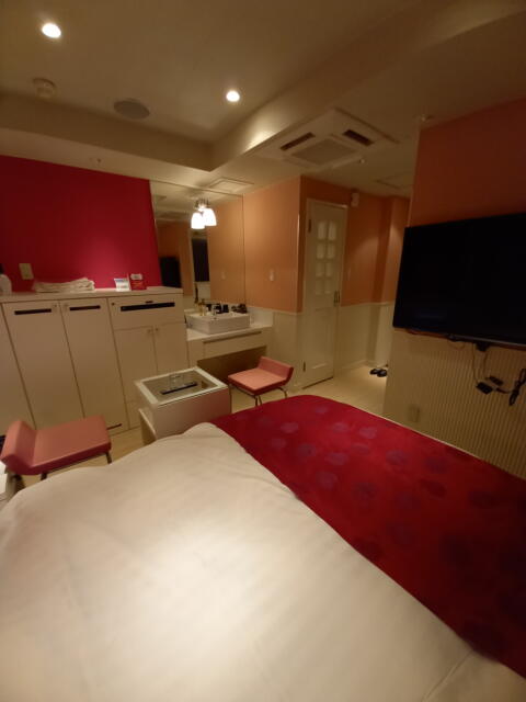 HOTEL ZERO MARUYAMA(渋谷区/ラブホテル)の写真『501号室の枕元側からの室内全景』by angler