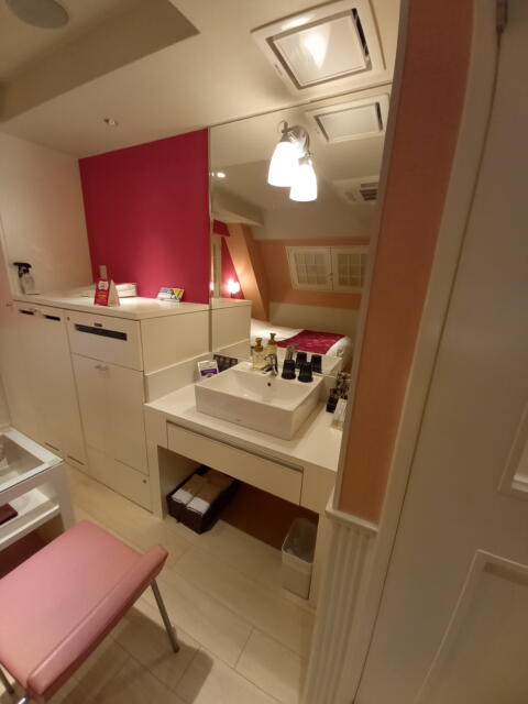 HOTEL ZERO MARUYAMA(渋谷区/ラブホテル)の写真『501号室の洗面台』by angler