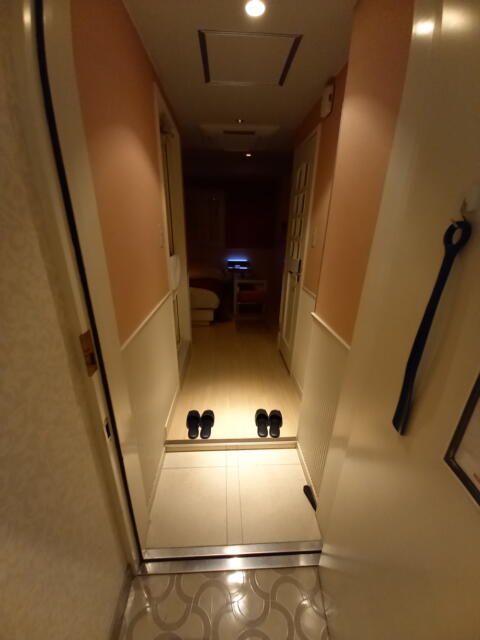 HOTEL ZERO MARUYAMA(渋谷区/ラブホテル)の写真『501号室のくつぬぎ。室内照明点灯前』by angler