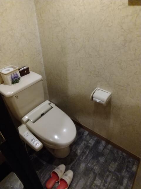 HOTEL STATION スクエア(台東区/ラブホテル)の写真『305号室 トイレ。清潔に保たれております。』by きょうけん