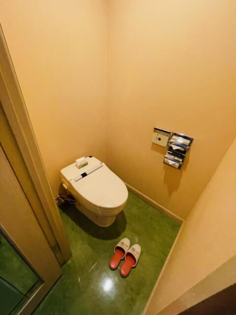 HOTEL STATION インペリアル(台東区/ラブホテル)の写真『571号室のトイレ』by miffy.GTI