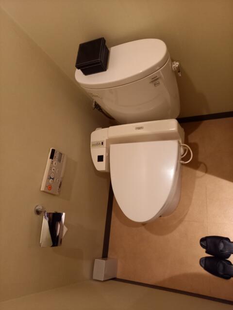 HOTEL  Style-A(新宿区/ラブホテル)の写真『305号室、トイレ』by イシバシ