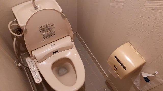 HOTEL R&N（レストアンドネスト）(蕨市/ラブホテル)の写真『308号室トイレ』by 春風拳