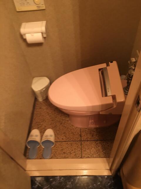 ニューアリス(大田区/ラブホテル)の写真『402号室　トイレ』by ちげ