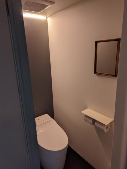 錦糸町 プチテル(墨田区/ラブホテル)の写真『502号室のトイレ、意外と綺麗』by ふ～