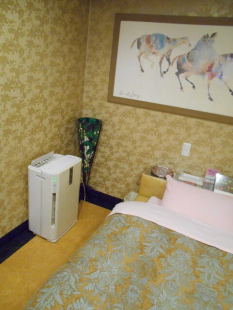 ホテル アーカス(立川市/ラブホテル)の写真『405号室、空気清浄機など』by もんが～