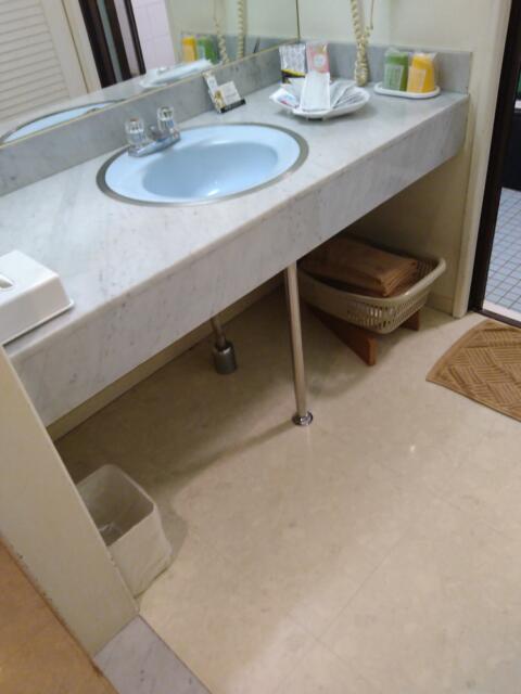 ホテル 貮番館(墨田区/ラブホテル)の写真『505号室 洗面所の下にタオル類とガウン、ゴミ箱』by なめろう