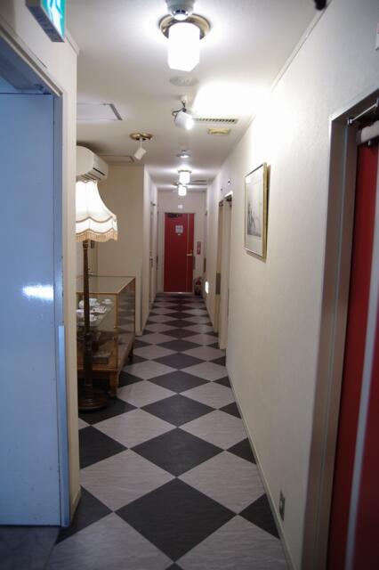 HOTEL Young Inn.(ヤング イン)(新宿区/ラブホテル)の写真『部屋からの4階廊下』by マーケンワン