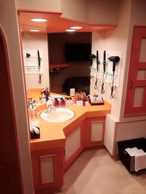HOTEL TIME(厚木市/ラブホテル)の写真『216号室、でかい洗面所。(22,6)』by キジ