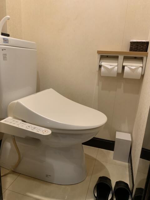 シーズ鶯谷(台東区/ラブホテル)の写真『203号室　トイレ』by 鶯谷人