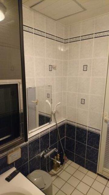HOTEL GRAN HILL(豊島区/ラブホテル)の写真『306号室（浴室奥からシャワー部分。二点固定式でヘッドは壁向き）』by 格付屋