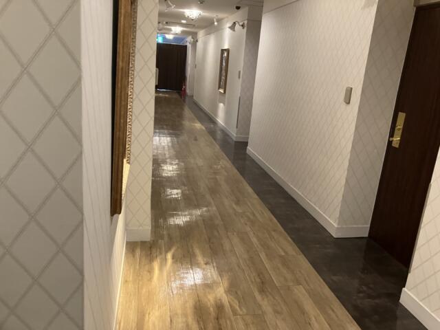 ホテル ボニータ相模原(相模原市/ラブホテル)の写真『2階廊下』by KAMUY