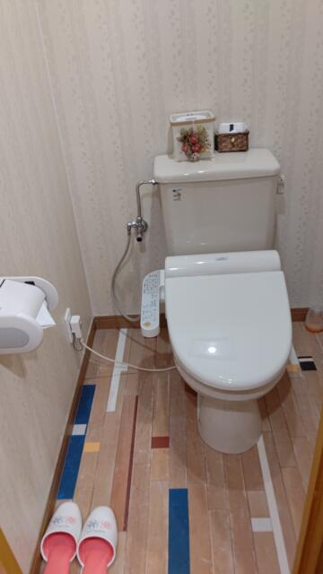 HOTEL STATION スクエア(台東区/ラブホテル)の写真『501号室 トイレ』by エロスケ魔神