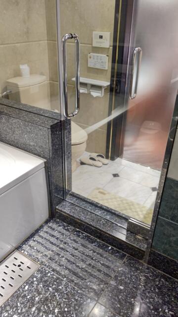 APIO(アピオ)(台東区/ラブホテル)の写真『302号室 浴室から』by エロスケ魔神