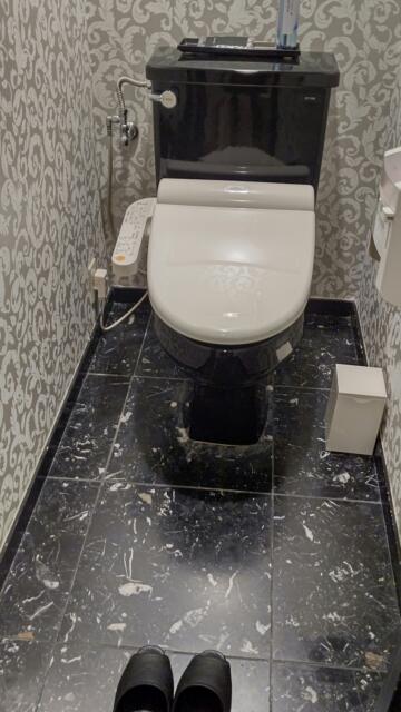 HOTEL EXE（エグゼ）(台東区/ラブホテル)の写真『212号室 トイレ』by エロスケ魔神