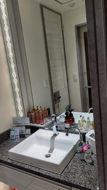VARKIN ANNEX(バーキンアネックス)(豊島区/ラブホテル)の写真『501号室 洗面台』by エロスケ魔神