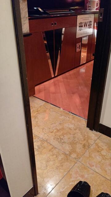 W-ARAMIS（アラミス）(新宿区/ラブホテル)の写真『202号室 玄関から』by エロスケ魔神