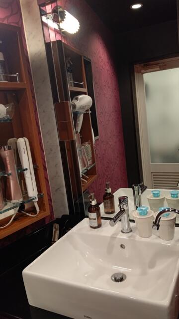 W-ARAMIS（アラミス）(新宿区/ラブホテル)の写真『202号室 洗面台』by エロスケ魔神