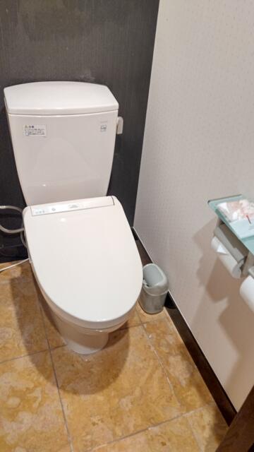 W-ARAMIS（アラミス）(新宿区/ラブホテル)の写真『202号室 トイレ』by エロスケ魔神