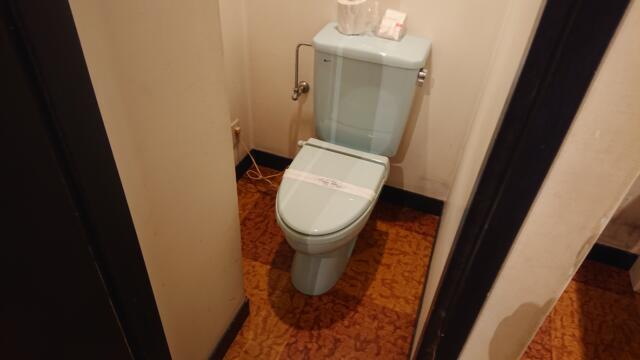 インパル21(小山市/ラブホテル)の写真『205号室 トイレ』by 怠け蟻
