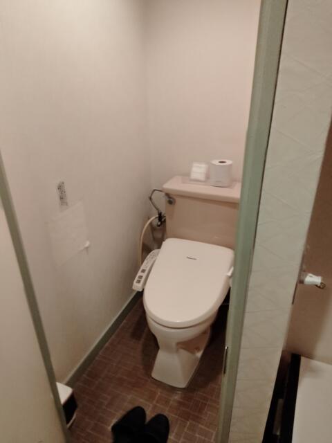 ホテルスマイル(豊島区/ラブホテル)の写真『302号室 トイレ』by 巨乳輪ファン