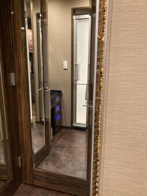 HOTEL schall（シャール）(台東区/ラブホテル)の写真『306号室玄関裏、洗面台横の全面鏡　この日は鏡の前で立ちフェラでセフレの人妻と燃え上がりました』by L&L