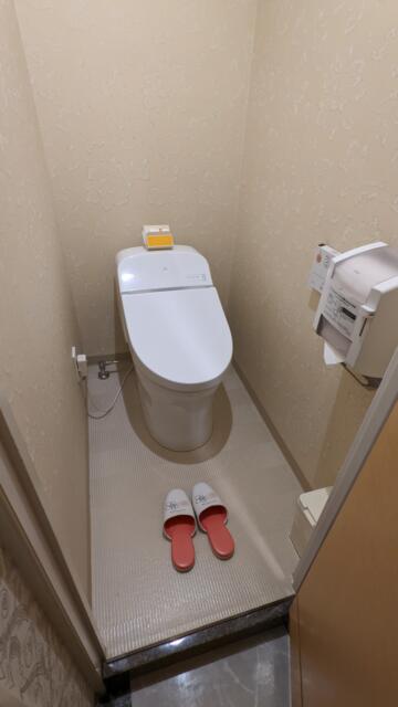 ホテル MARE（マーレ）(品川区/ラブホテル)の写真『507号室、トイレ』by 爽やかエロリーマン